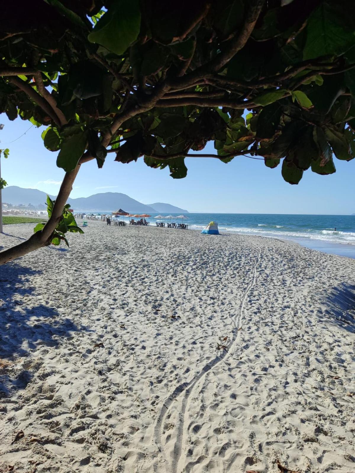 Florianópolis Apartamento De 2 Dormitorios מראה חיצוני תמונה